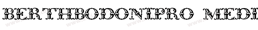 BerthBodoniPro Mediu字体转换